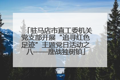 驻马店市直工委机关党支部开展“追寻红色足迹”主题党日活动之八——鏖战独树镇