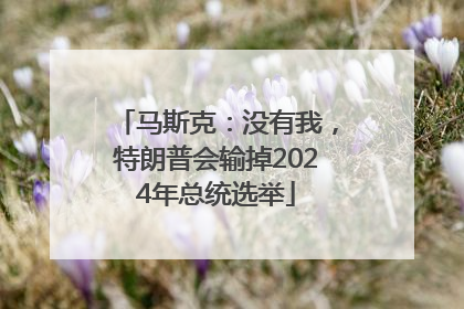 马斯克：没有我，特朗普会输掉2024年总统选举