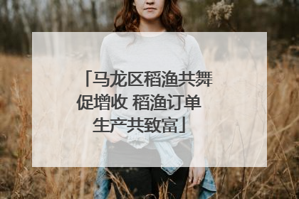 马龙区稻渔共舞促增收 稻渔订单生产共致富