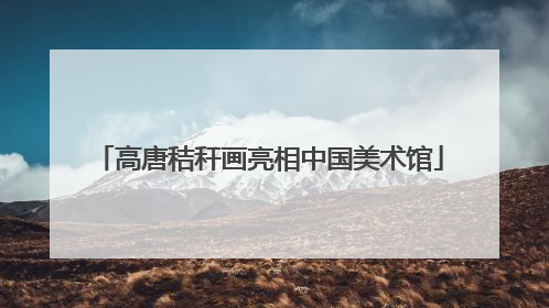 高唐秸秆画亮相中国美术馆