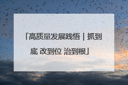 高质量发展践悟｜抓到底 改到位 治到根