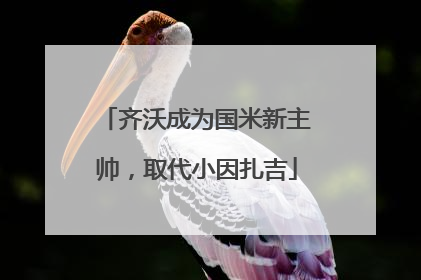 齐沃成为国米新主帅，取代小因扎吉