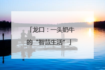 龙口：一头奶牛的“智慧生活”