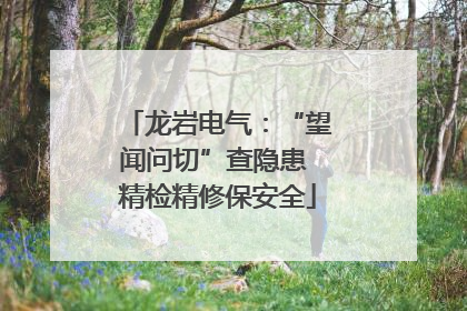 龙岩电气：“望闻问切”查隐患 精检精修保安全