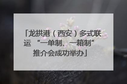 龙拱港（西安）多式联运 “一单制、一箱制” 推介会成功举办
