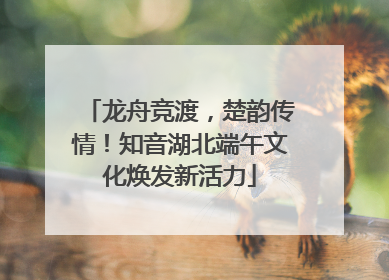 龙舟竞渡，楚韵传情！知音湖北端午文化焕发新活力