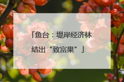 鱼台：堤岸经济林结出“致富果”