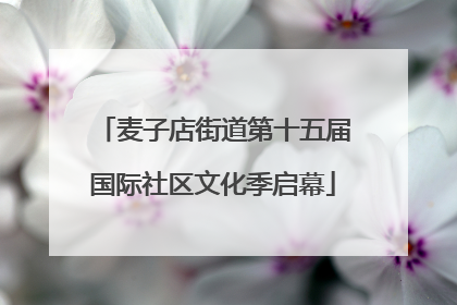 麦子店街道第十五届国际社区文化季启幕