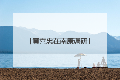 黄喜忠在南康调研