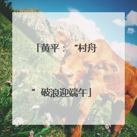 黄平：“村舟”破浪迎端午