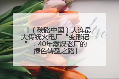 （碳路中国）大连最大传统火电厂“变形记”：40年燃煤老厂的绿色转型之路