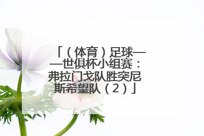 （体育）足球——世俱杯小组赛：弗拉门戈队胜突尼斯希望队（2）