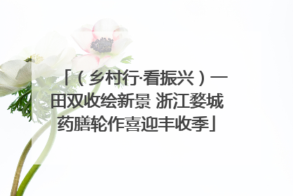 （乡村行·看振兴）一田双收绘新景 浙江婺城药膳轮作喜迎丰收季