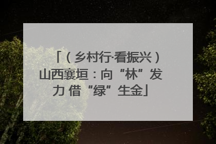 （乡村行·看振兴）山西襄垣：向“林”发力 借“绿”生金
