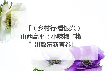 （乡村行·看振兴）山西高平：小辣椒“椒”出致富新答卷