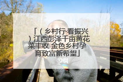 （乡村行·看振兴）江西彭泽千亩黄花菜丰收 金色乡村孕育致富新希望