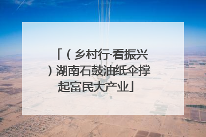 （乡村行·看振兴）湖南石鼓油纸伞撑起富民大产业
