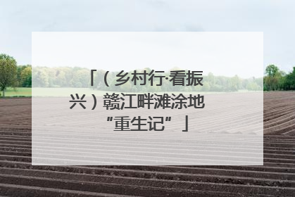 （乡村行·看振兴）赣江畔滩涂地“重生记”