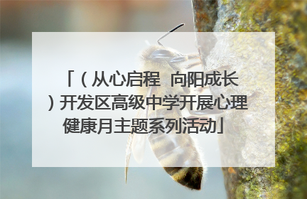 （从心启程  向阳成长）开发区高级中学开展心理健康月主题系列活动