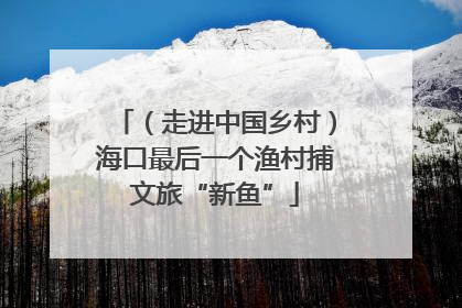 （走进中国乡村）海口最后一个渔村捕文旅“新鱼”