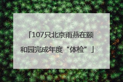 107只北京雨燕在颐和园完成年度“体检”