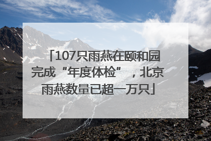 107只雨燕在颐和园完成“年度体检”，北京雨燕数量已超一万只