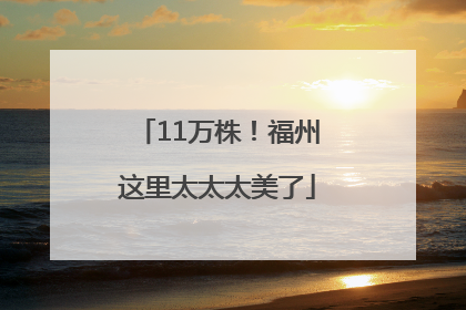 11万株！福州这里太太太美了