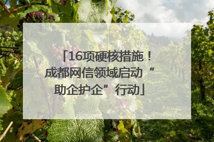 16项硬核措施！成都网信领域启动“助企护企”行动