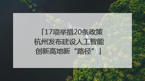 17项举措20条政策 杭州发布建设人工智能创新高地新“路径”