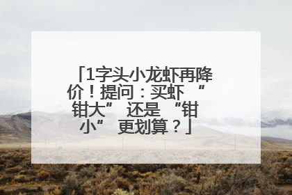 1字头小龙虾再降价！提问：买虾 “钳大” 还是 “钳小” 更划算？