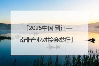 2025中国·晋江—南非产业对接会举行