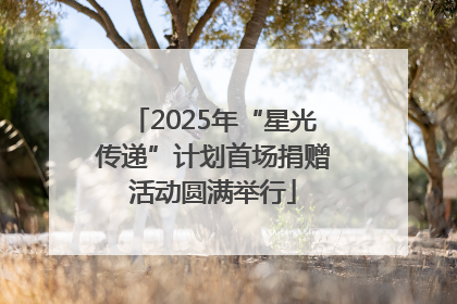 2025年“星光传递”计划首场捐赠活动圆满举行
