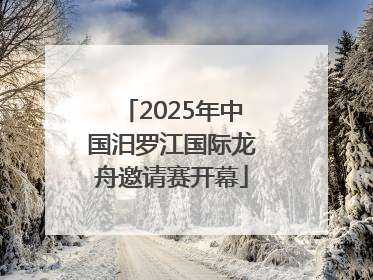 2025年中国汨罗江国际龙舟邀请赛开幕