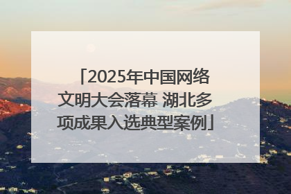 2025年中国网络文明大会落幕 湖北多项成果入选典型案例