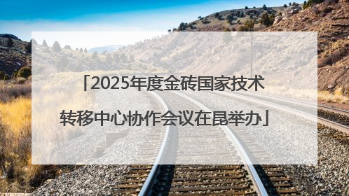 2025年度金砖国家技术转移中心协作会议在昆举办