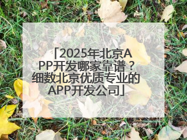 2025年北京APP开发哪家靠谱？细数北京优质专业的APP开发公司