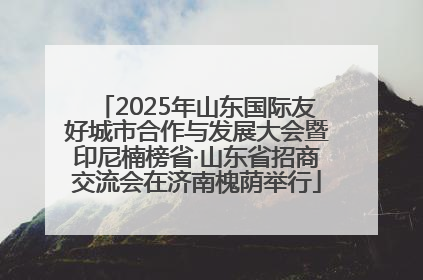 2025年山东国际友好城市合作与发展大会暨印尼楠榜省·山东省招商交流会在济南槐荫举行