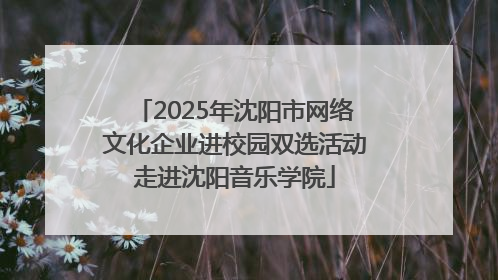 2025年沈阳市网络文化企业进校园双选活动走进沈阳音乐学院