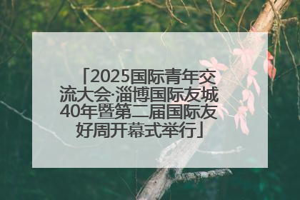 2025国际青年交流大会·淄博国际友城40年暨第二届国际友好周开幕式举行
