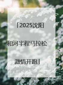 2025沈阳和河半程马拉松激情开跑