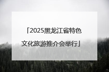2025黑龙江省特色文化旅游推介会举行