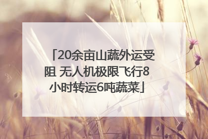 20余亩山蔬外运受阻 无人机极限飞行8小时转运6吨蔬菜