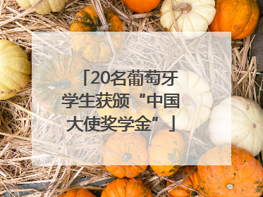 20名葡萄牙学生获颁“中国大使奖学金”