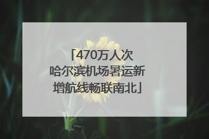 470万人次 哈尔滨机场暑运新增航线畅联南北