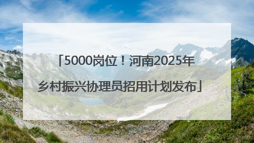 5000岗位！河南2025年乡村振兴协理员招用计划发布