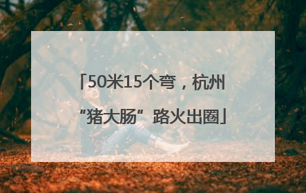 50米15个弯，杭州“猪大肠”路火出圈