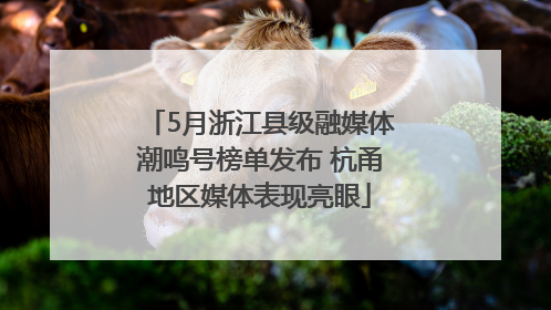 5月浙江县级融媒体潮鸣号榜单发布 杭甬地区媒体表现亮眼
