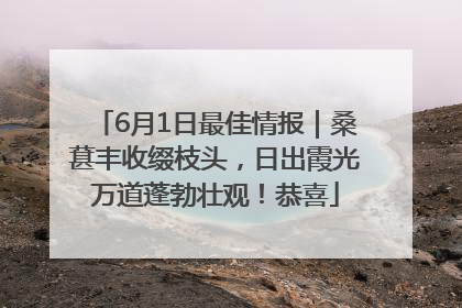 6月1日最佳情报｜桑葚丰收缀枝头，日出霞光万道蓬勃壮观！恭喜