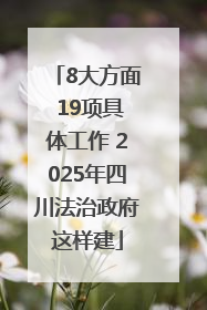 8大方面 19项具体工作 2025年四川法治政府这样建