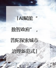AI赋能“数智政府”，普陀探索城市治理新范式